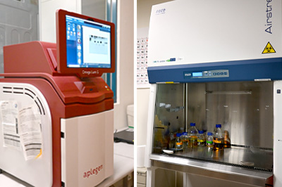 iGEM